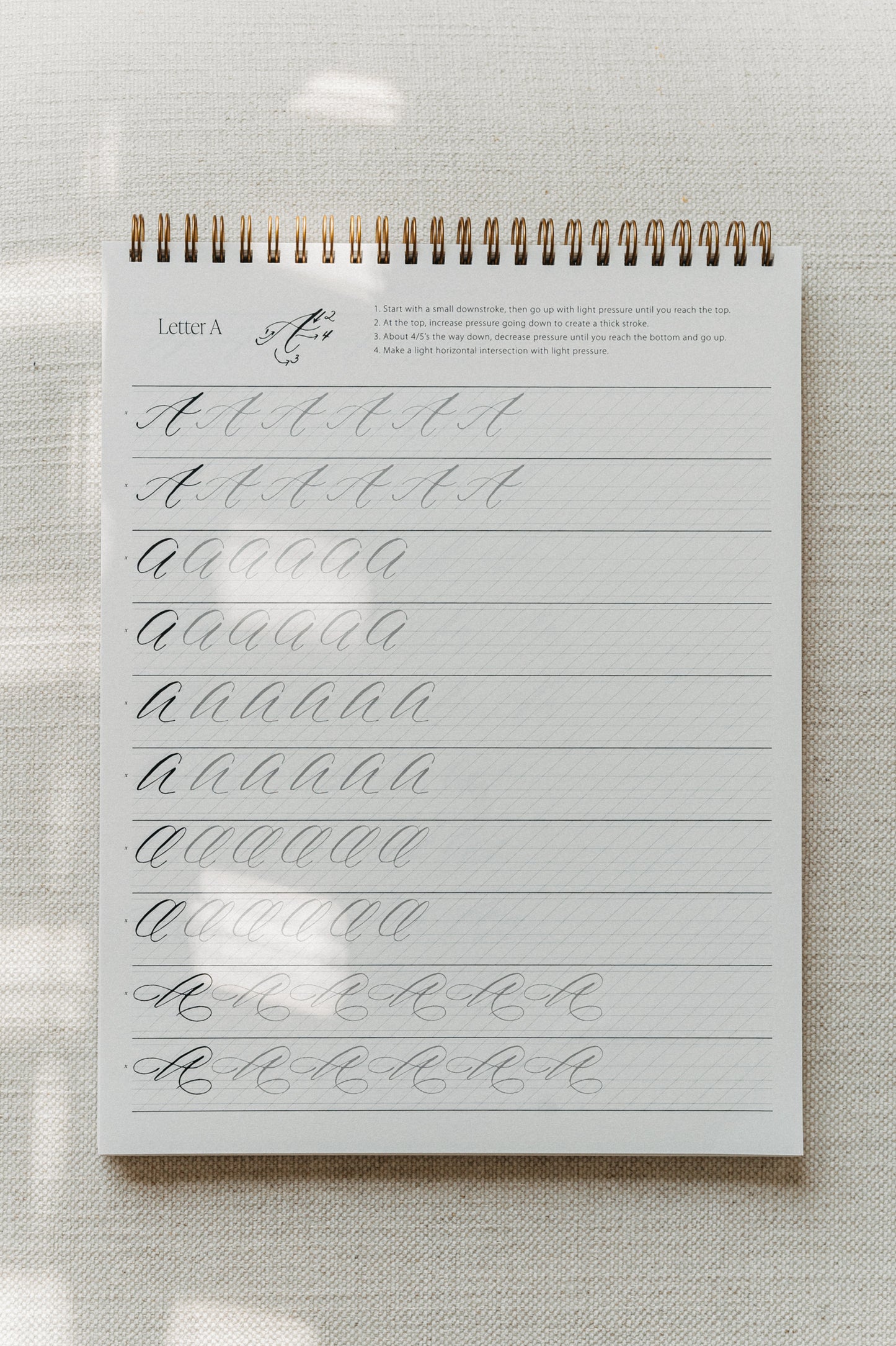 Calligraphy practice sheet featuring instructions and drills for writing the letter 'A' in five uppercase calligraphy styles