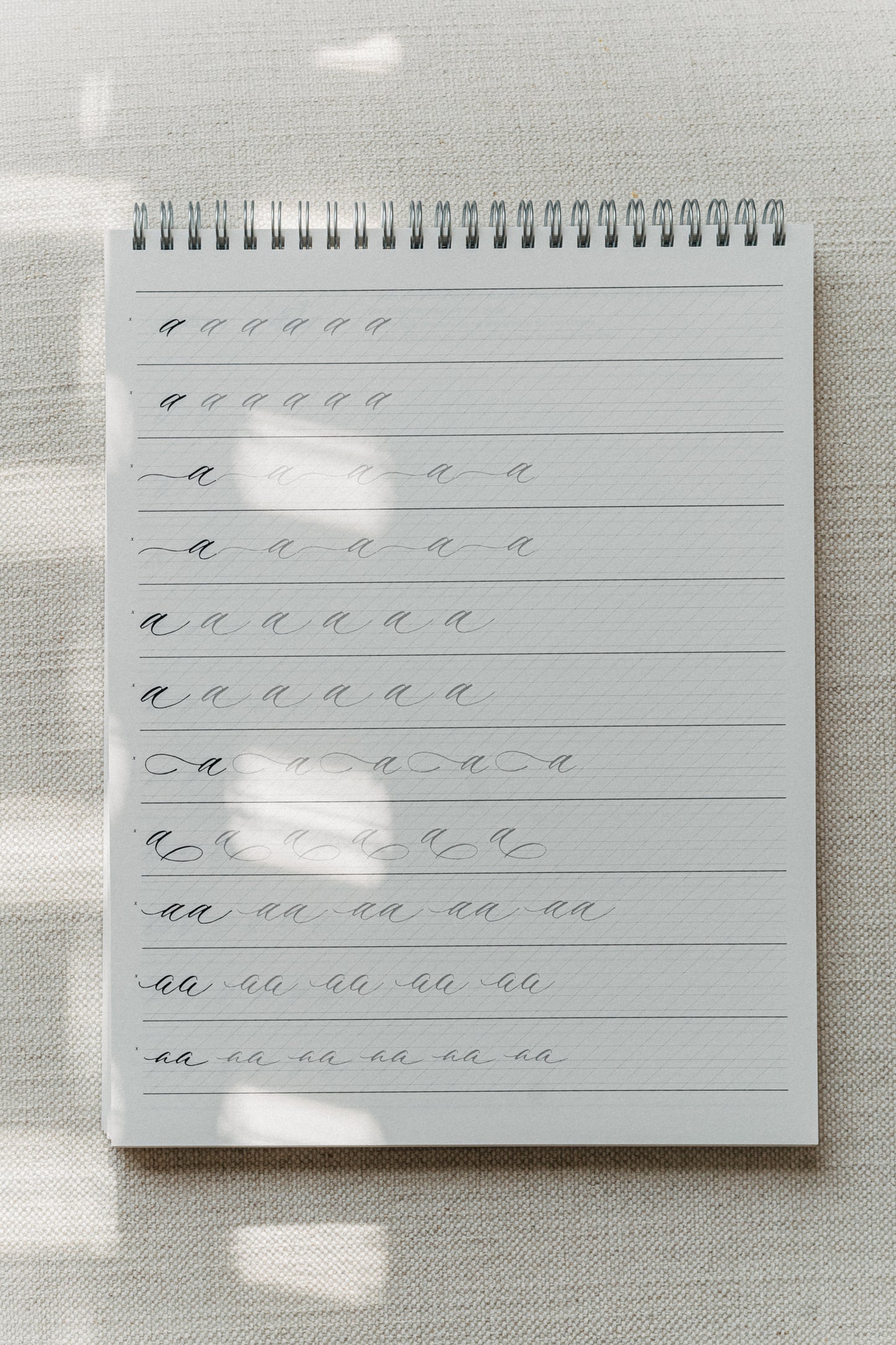 Calligraphy practice pad showing rows of lowercase 'a' in various styles, perfect for mastering strokes and flourishes on a soft background