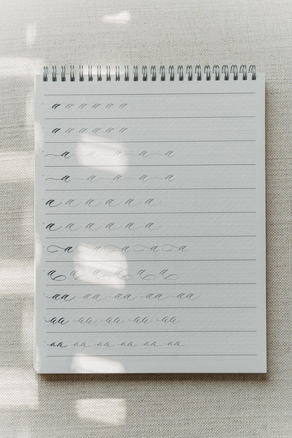 Calligraphy practice pad showing rows of lowercase 'a' in various styles, perfect for mastering strokes and flourishes on a soft background