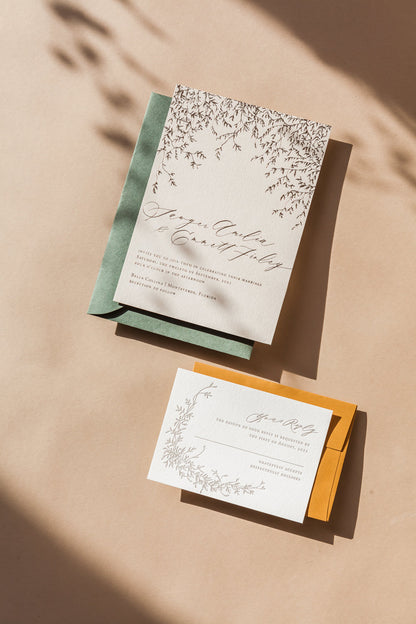 Botany 4-Piece Suite