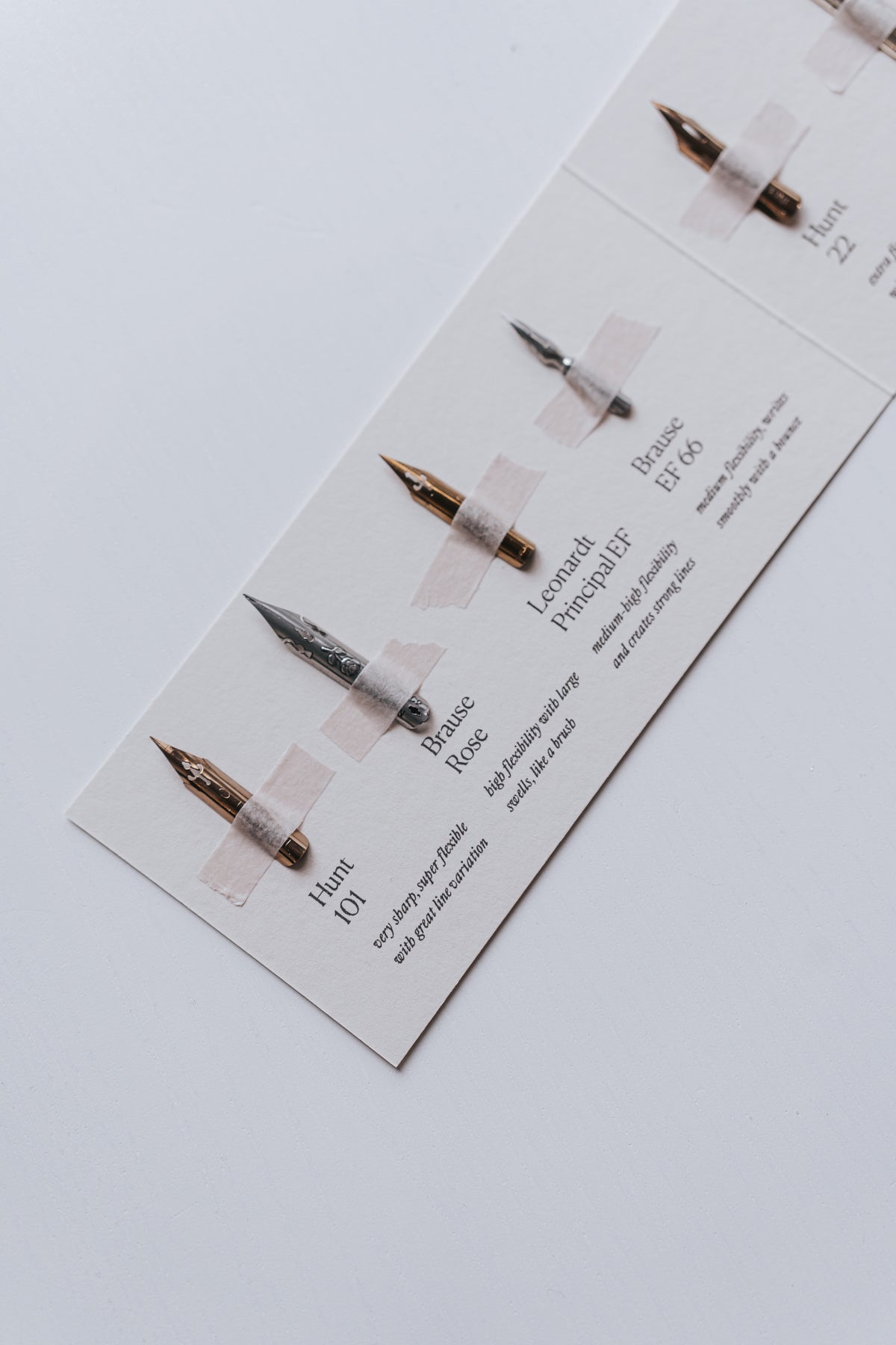 A close-up of Hunt 101, Brause Rose, Leonardo Principal EF, and Brause EF 66 nibs