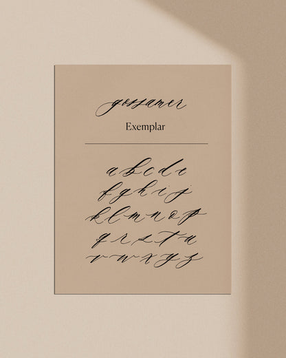 Gossamer lowercase calligraphy alphabet exemplar with modern script letterforms