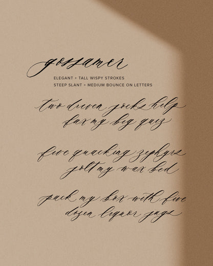 Gossamer calligraphy style with elegant script lettering and flowing pangram sentences