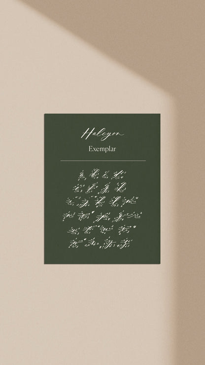 Halcyon calligraphy exemplar sheet with lowercase alphabet in elegant modern script style