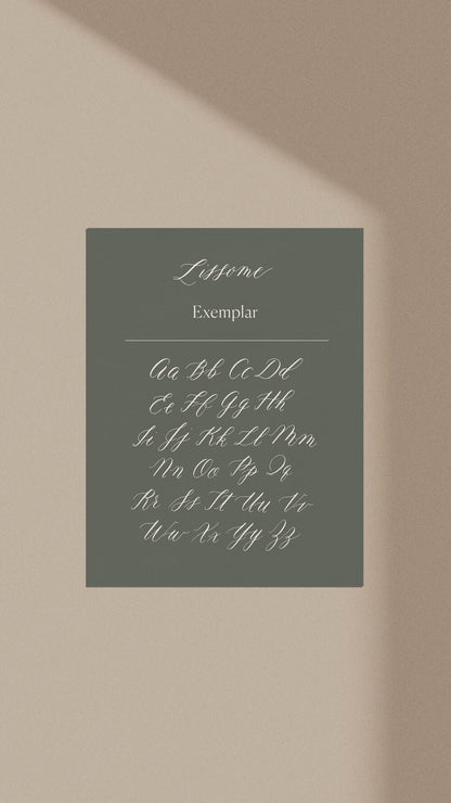 Lissome calligraphy exemplar sheet with full alphabet in elegant modern script style